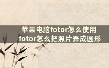 苹果电脑fotor怎么使用 fotor怎么把照片弄成圆形